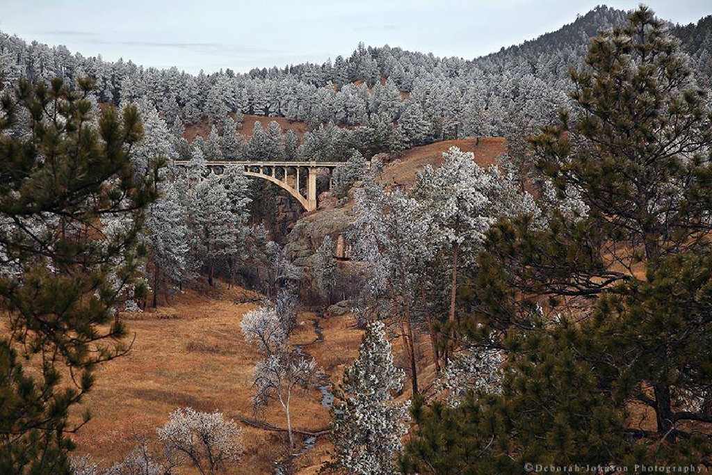 Black-Hills-SD/1024x768_Wind Cave National Park.jpg